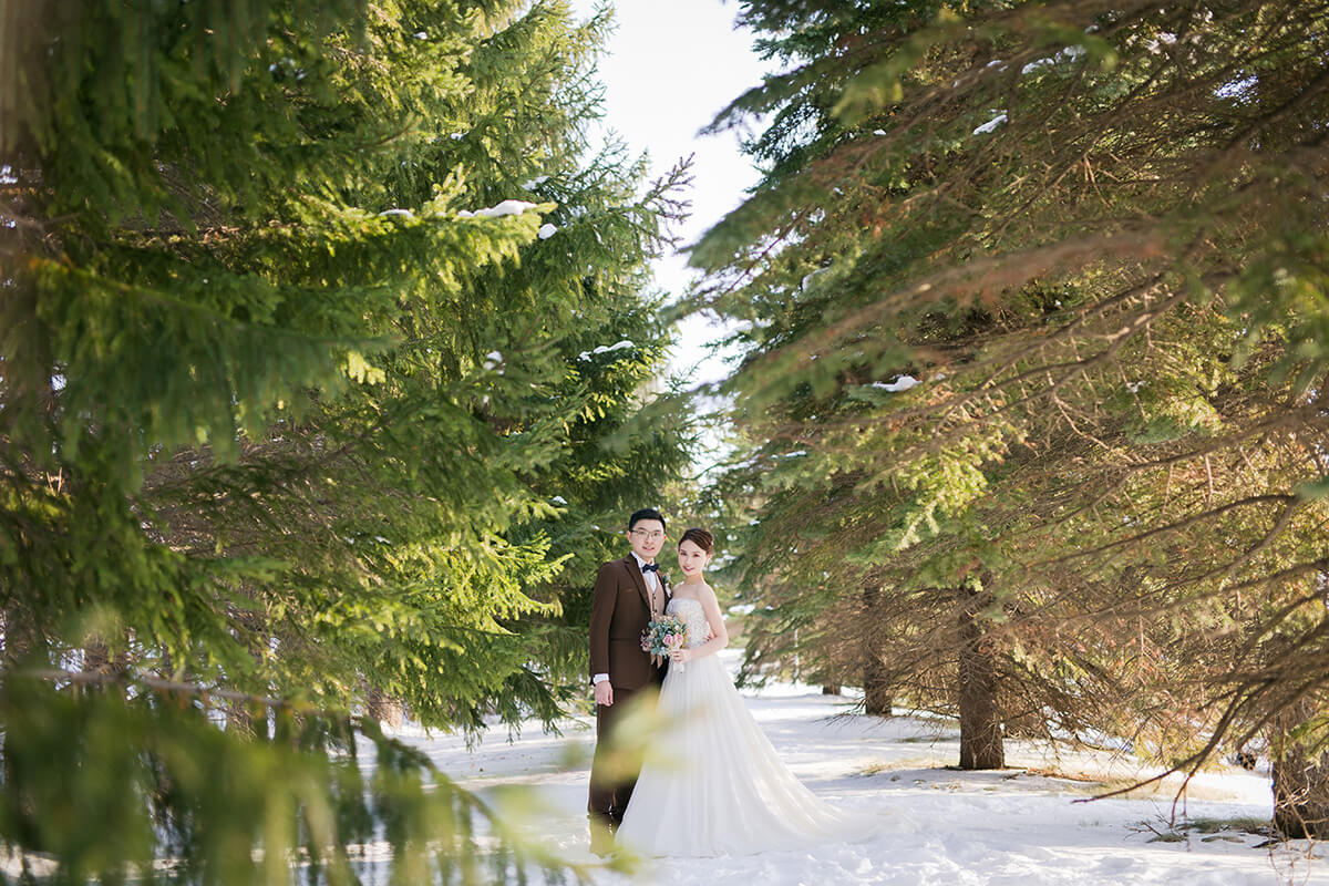 Hokkaido - Nadeshiko Photo by TOTA