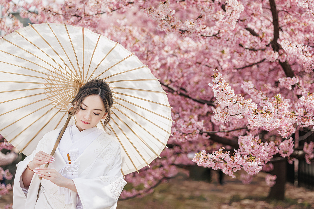 京都 - 絢爛 Photo by TATSUYA