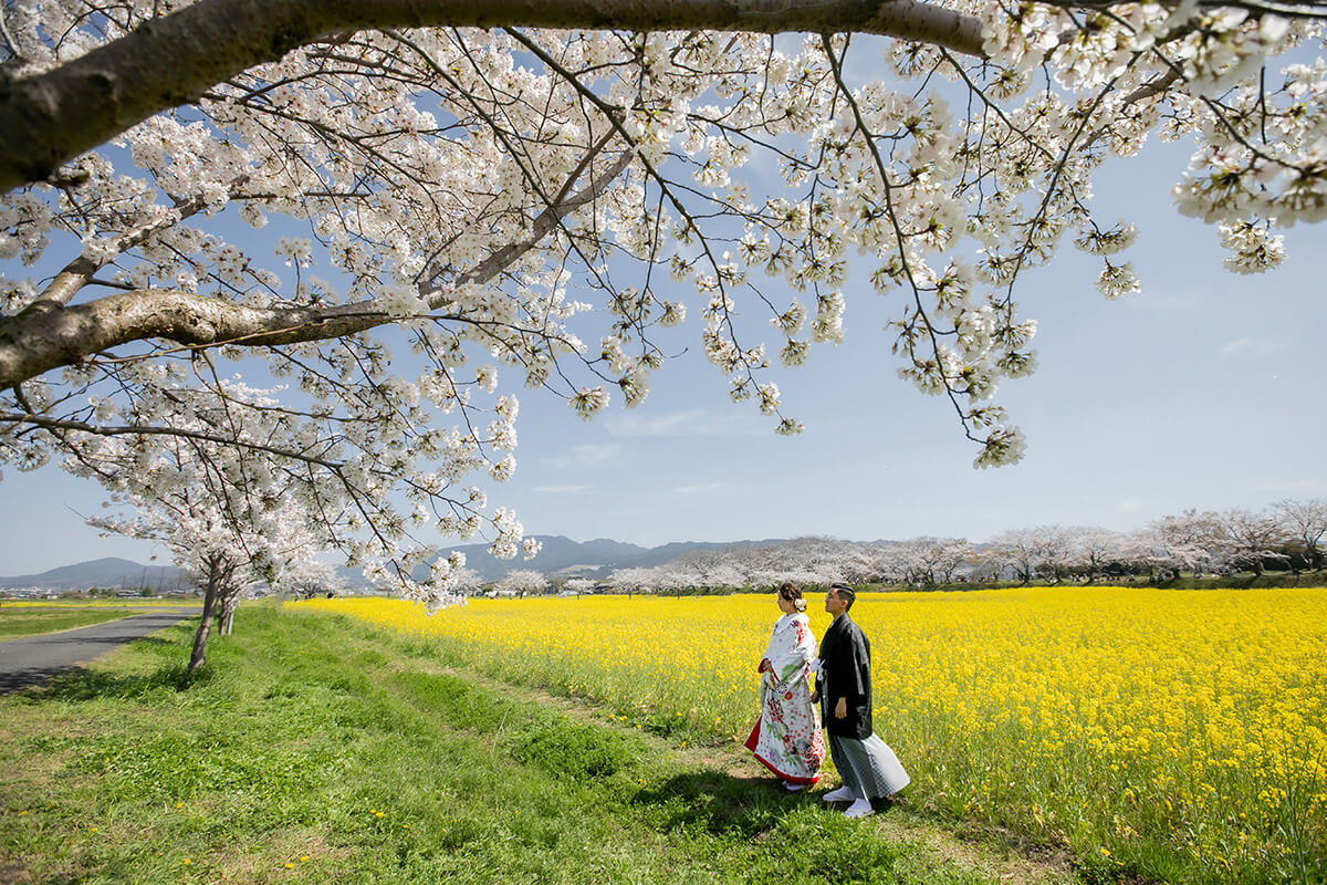 Osaka - Premium Plan Photo by HAYATO