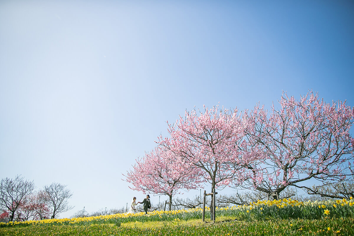 Bihoku Park