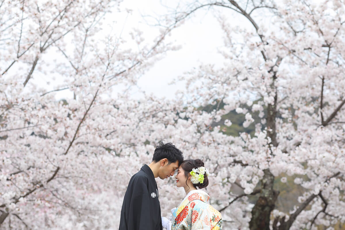 Maruyama Park