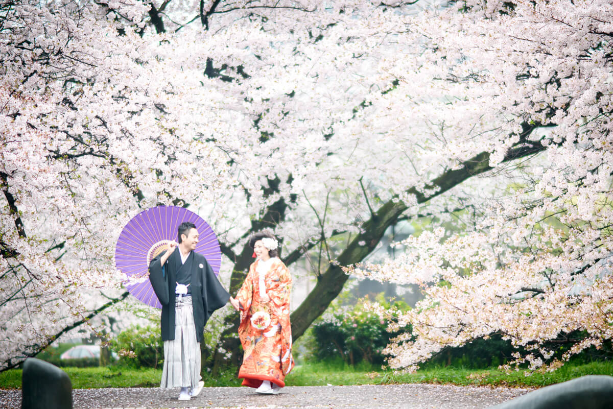 Meijyo Park
