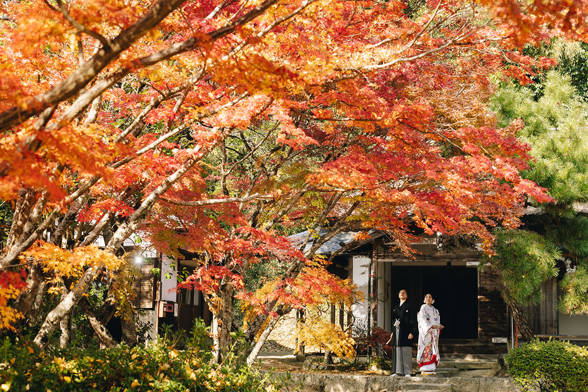 Kenzuien Garden