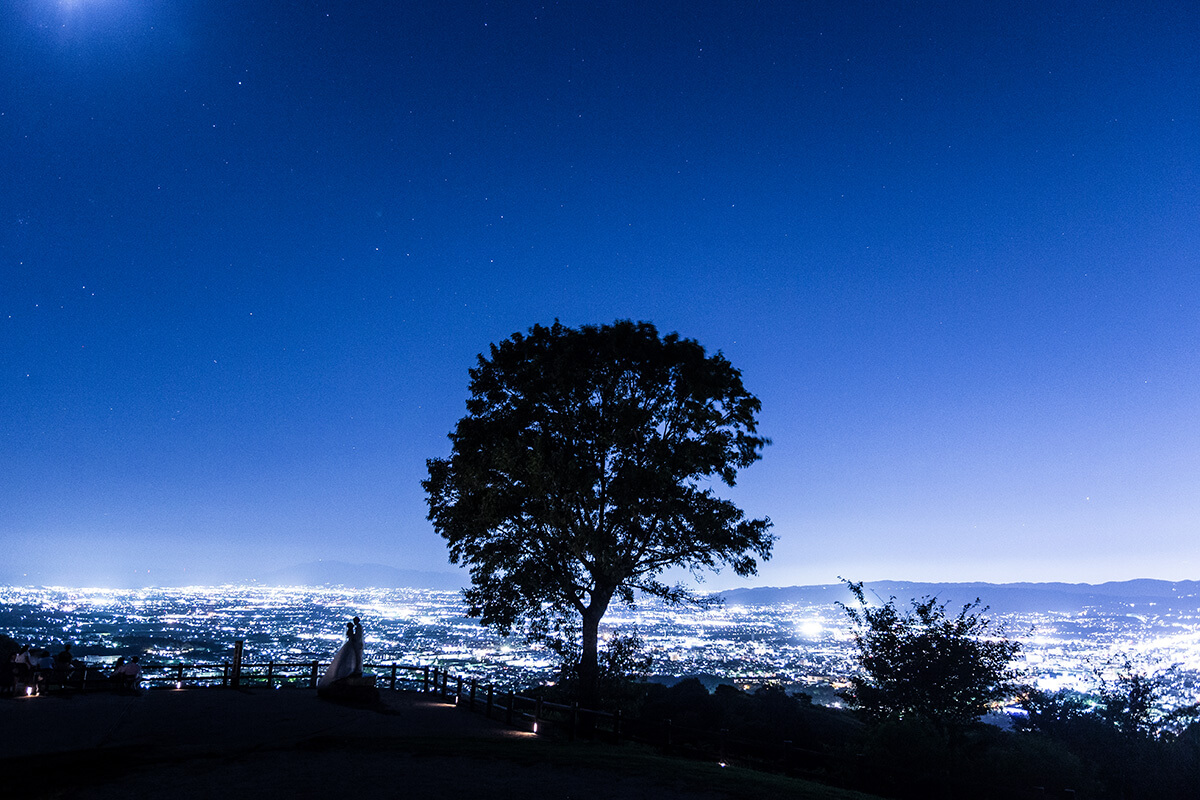 Nara Mt. Wakakusa