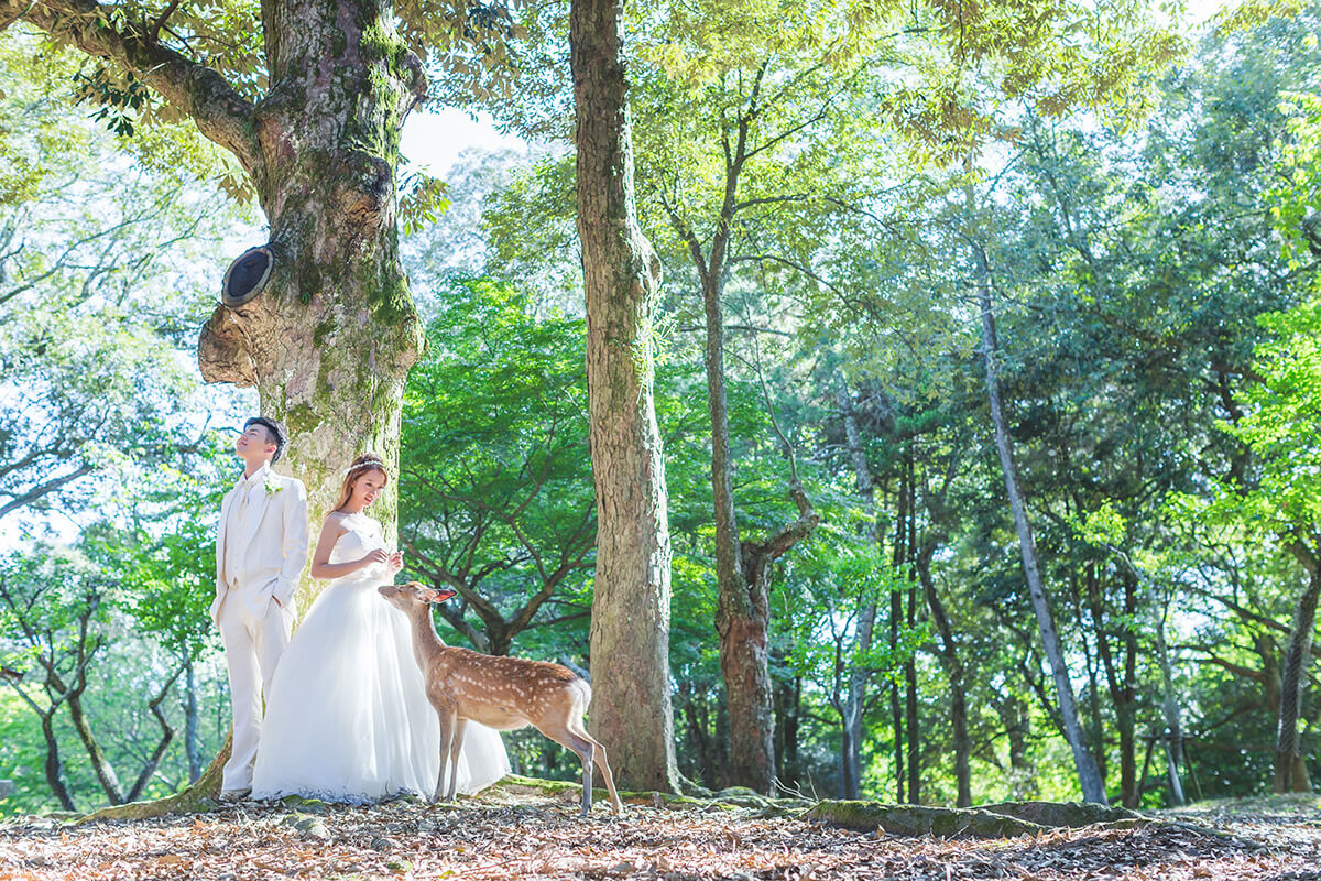 Nara Park