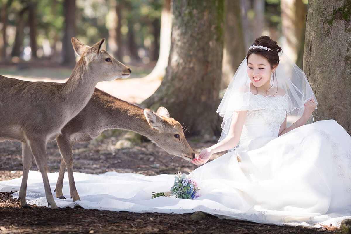 Nara Park