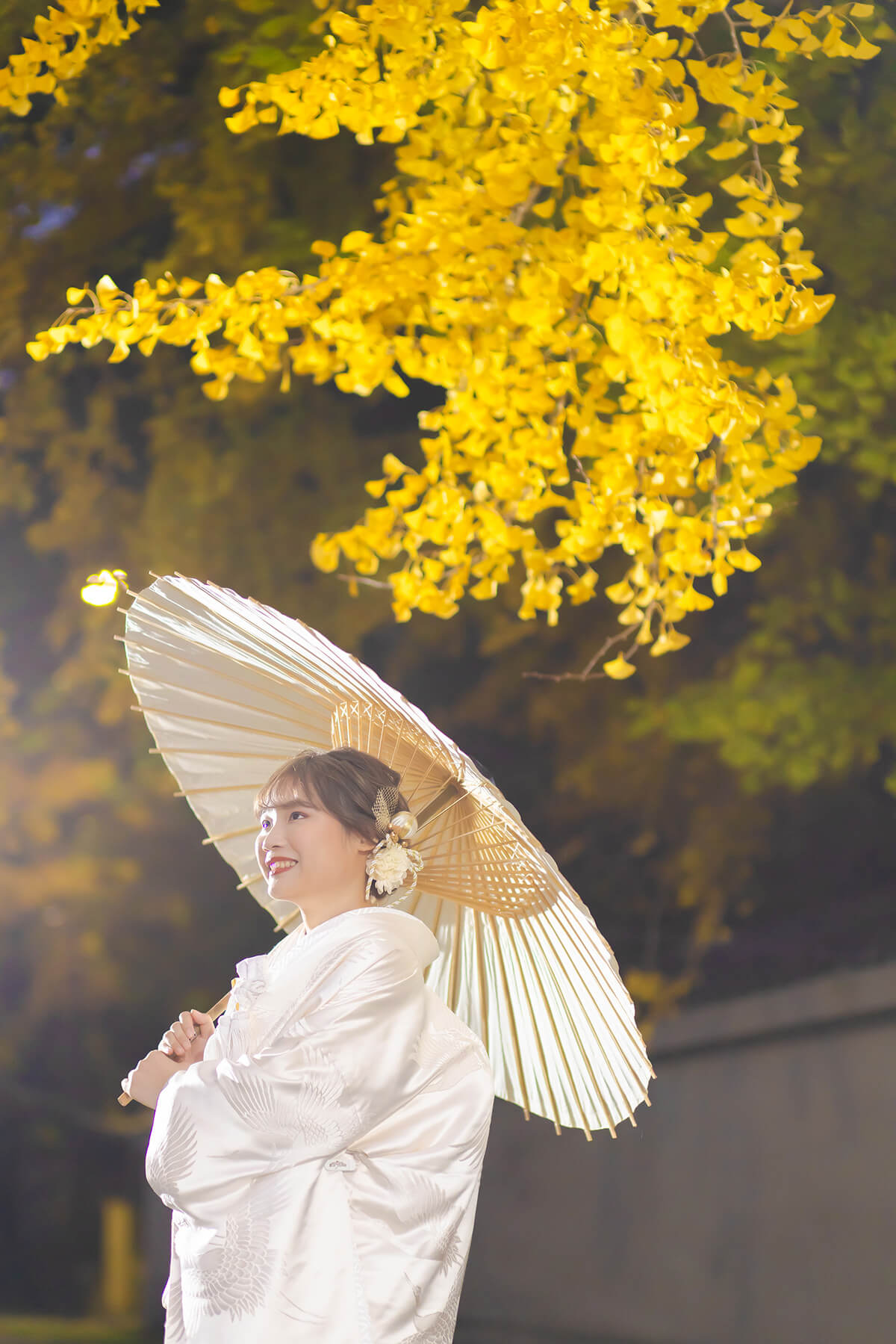 京都 - 絢爛