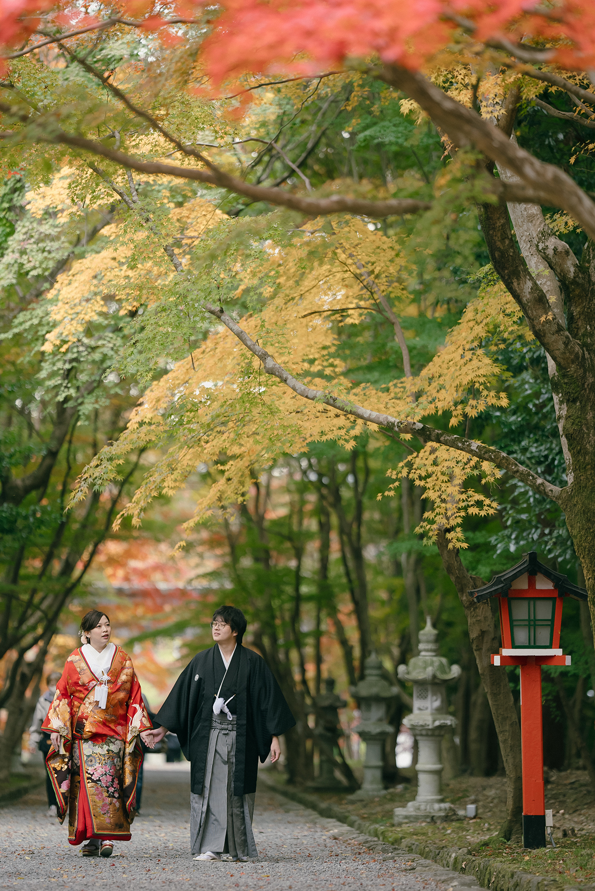 京都 - 絢爛