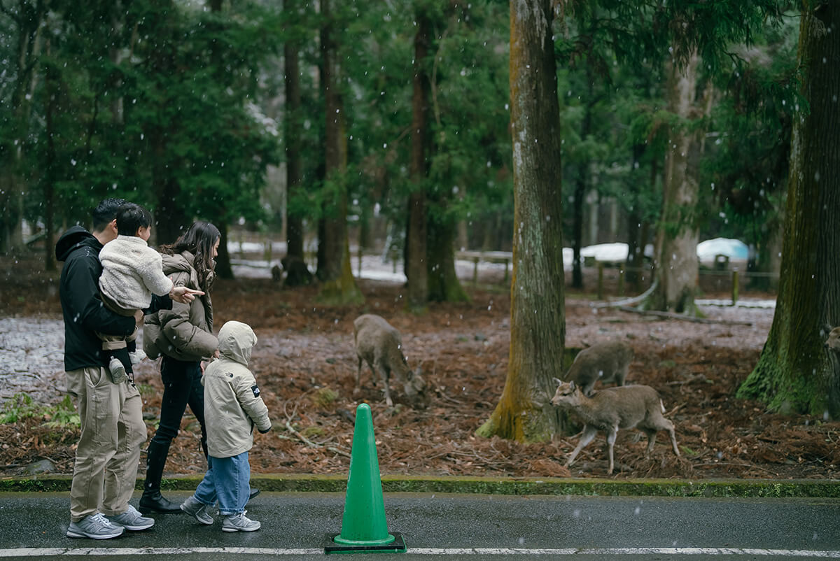 大阪 - 奈良公園