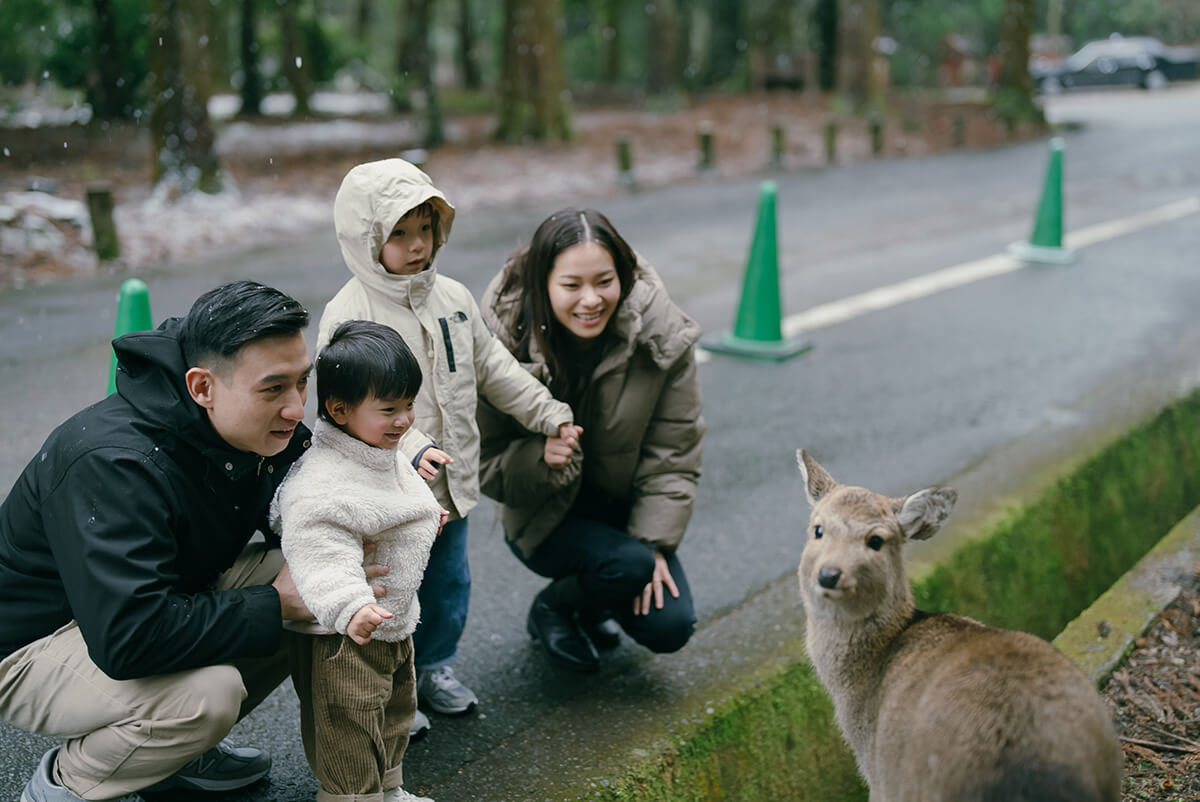 大阪 - 奈良公園