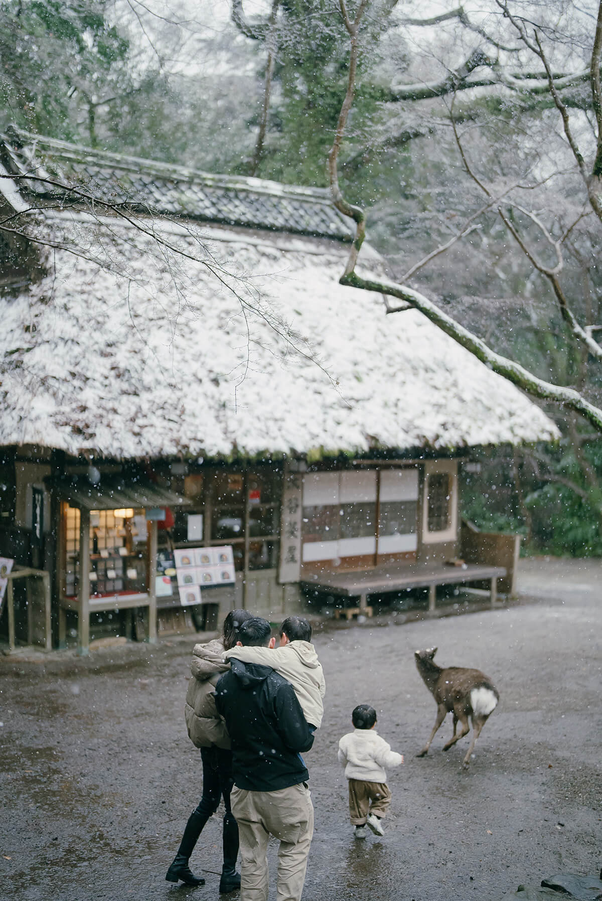 大阪 - 奈良公園