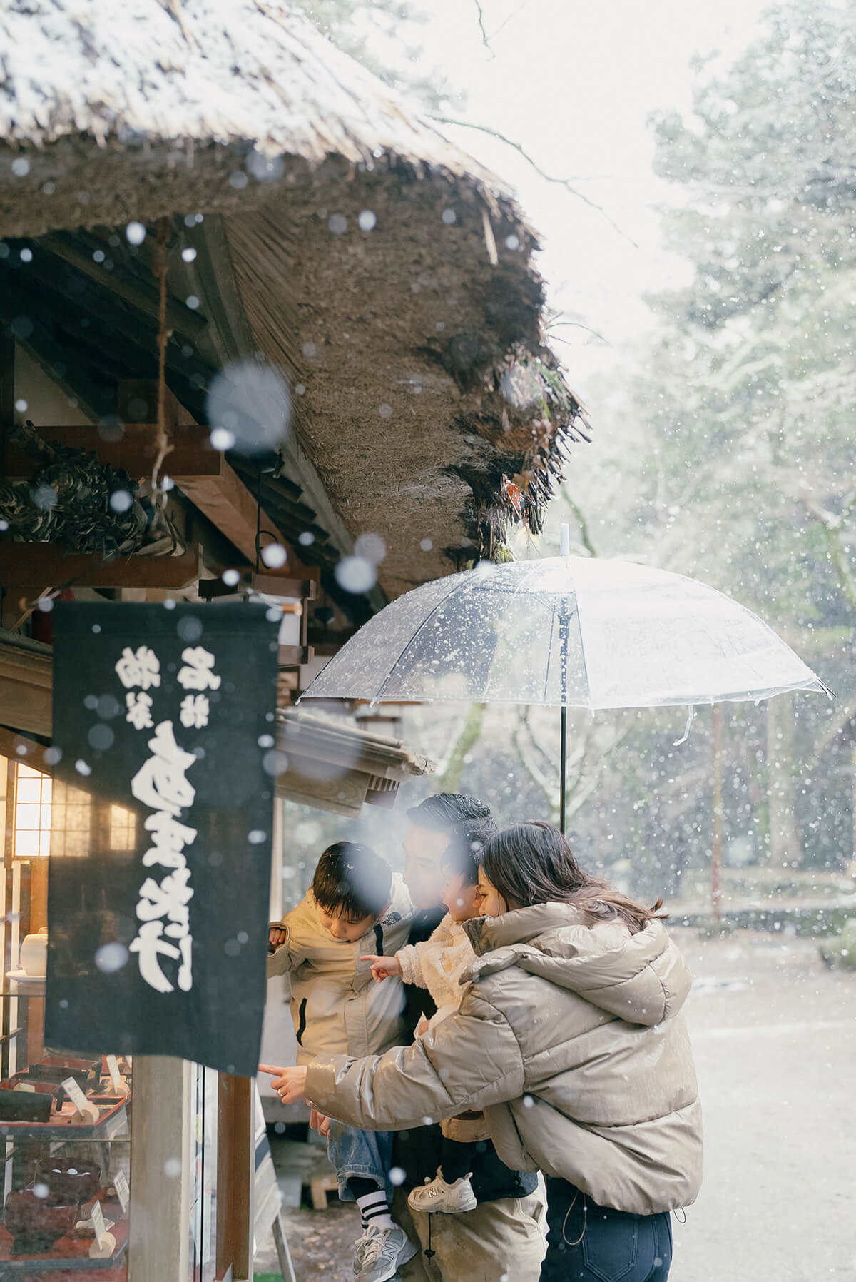 大阪 - 奈良公園