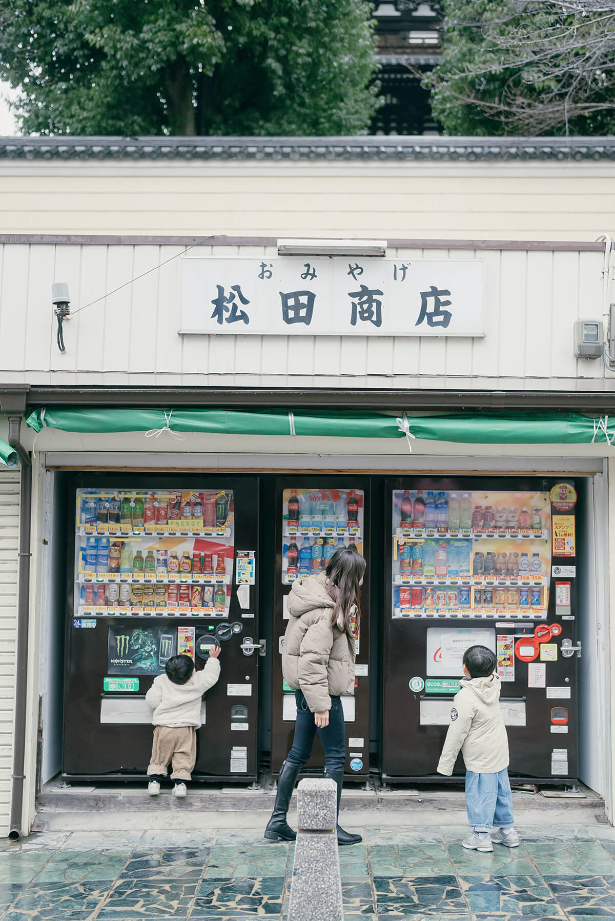 大阪 - 奈良公園