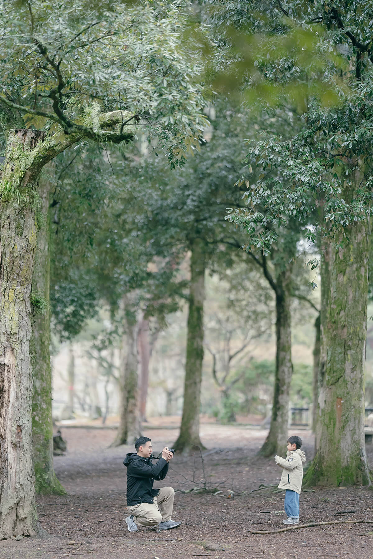 大阪 - 奈良公園