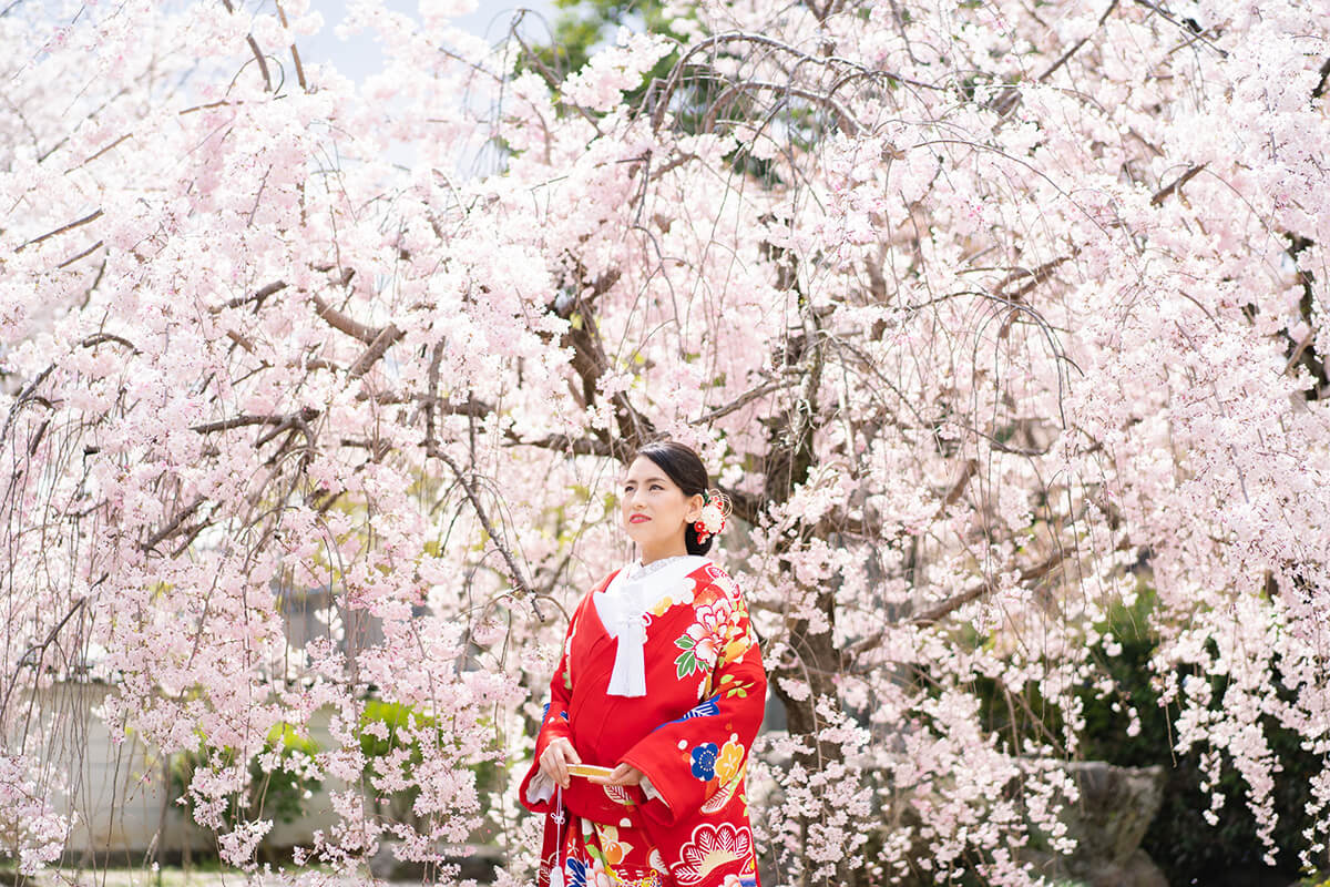 妙顕寺