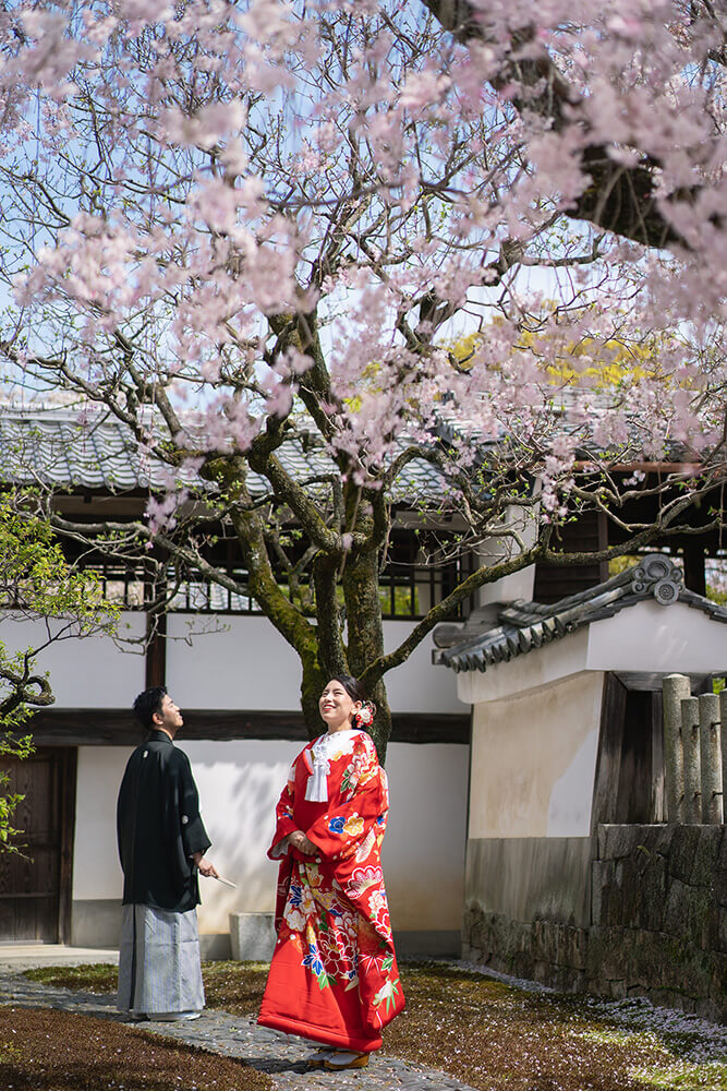 妙顕寺/外景地[京都/日本]