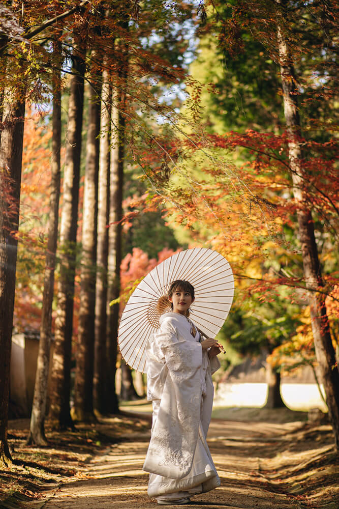 曹源寺/外景地[岡山/日本]